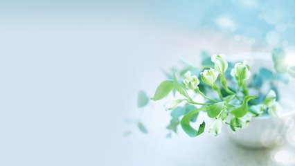影響測(cè)功機(jī)的基本轉(zhuǎn)速的因素有哪些?